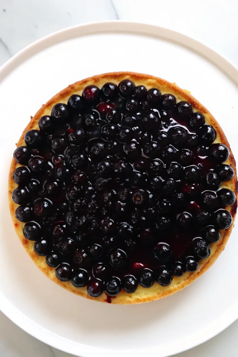 Blueberry Cheesecake